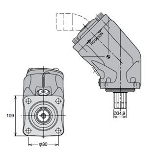 Bild von Axialkolbenp. LKW T1-081-R